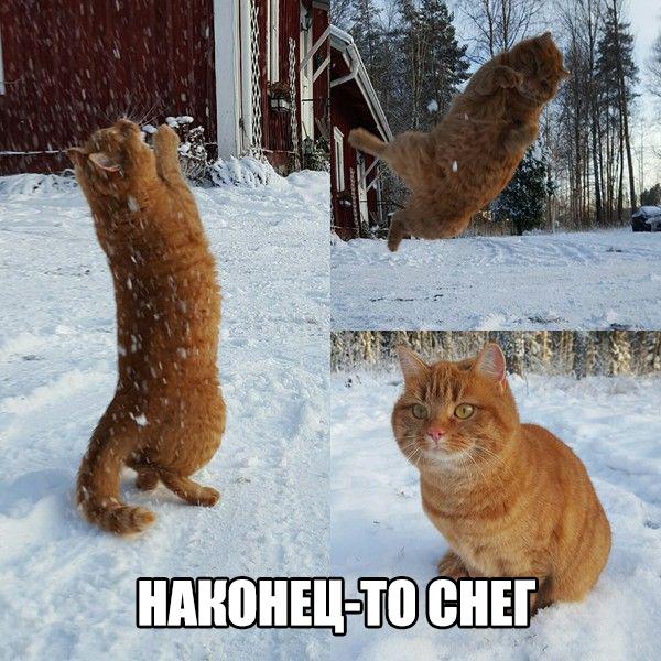 Всяко - разно...картинки