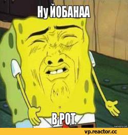 Жилье, туалеты и быт японцев