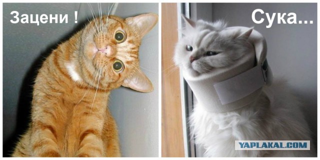 Электронная сигарета, матчасть и выбор