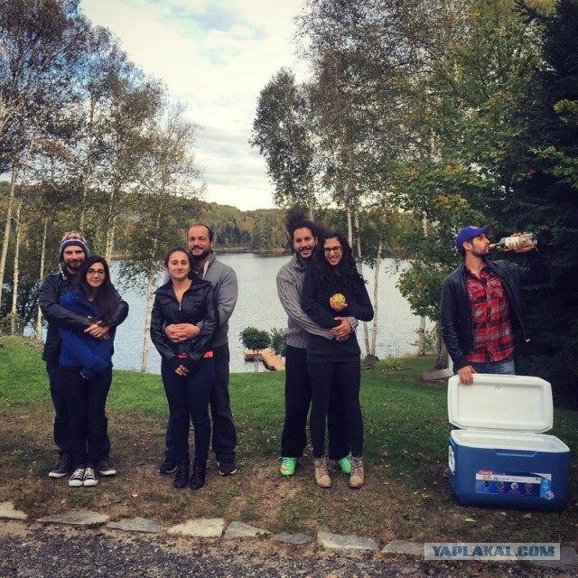 Картинки из сети, подборка