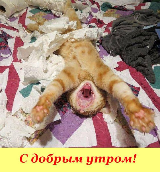 Картинки на пятницу