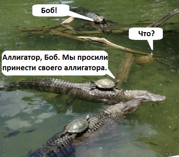 Абсурдный юмор ч. 23