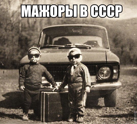 Забавные картинки из сети