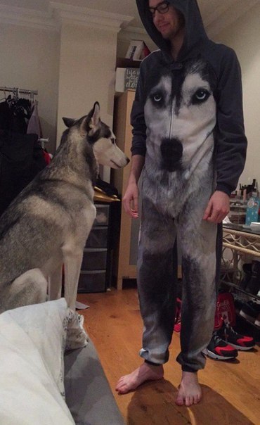 Прикольные животные