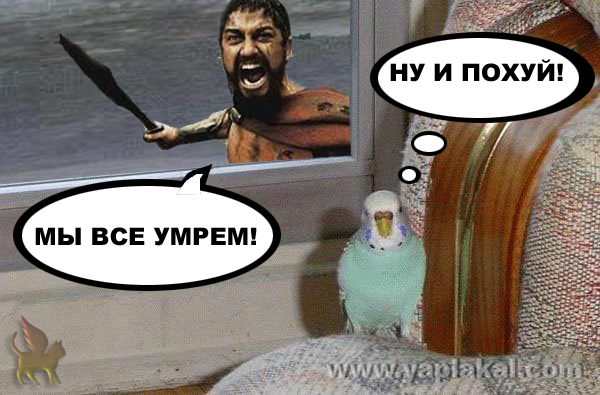 Барсик и Кеша (жесть)