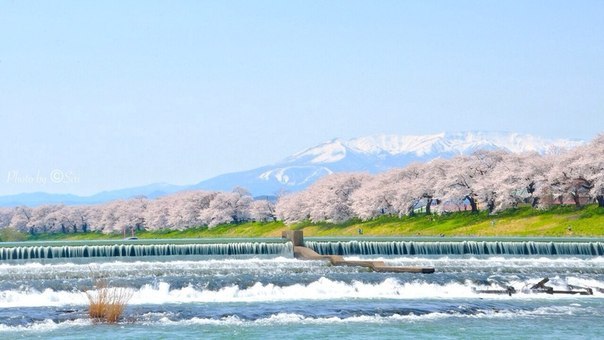 Картинки для отдыха глаз