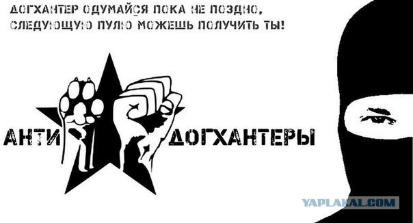 За издевательства над животными только тюрьма: срок от двух до семи лет!