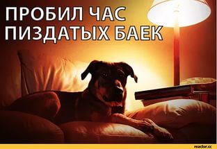 Настало время умопомрачительных сказов