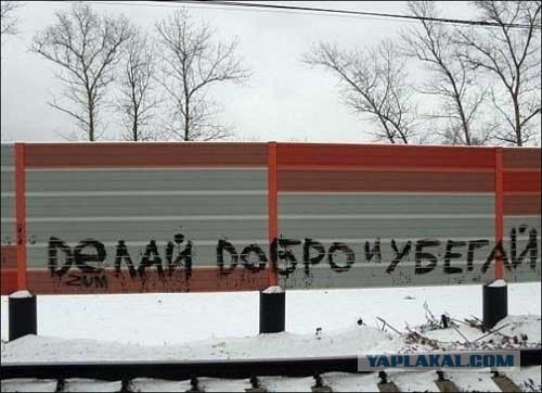 20 Смешных пикч