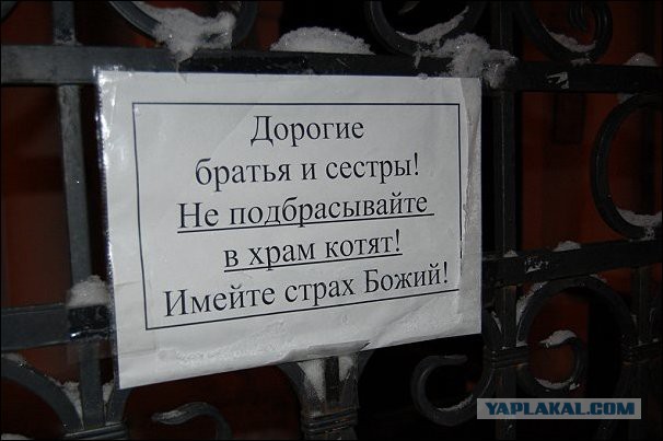 Где миллион? Крестный ход РПЦ