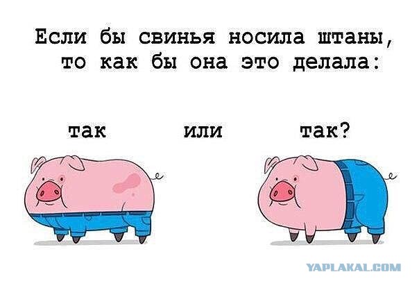 Дурацкие картинки