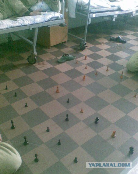Картинок всяких