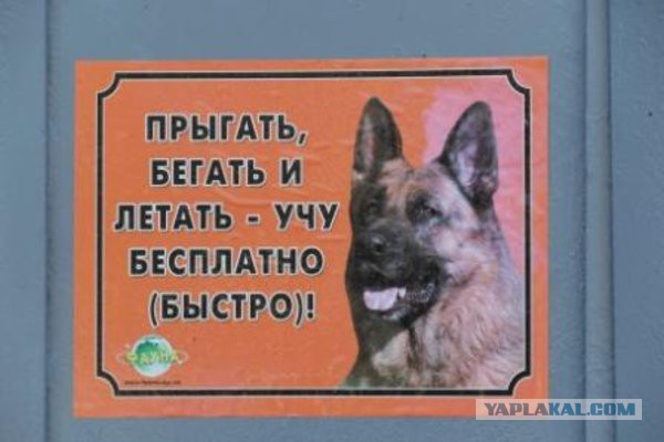 10 гениальных табличек у дома