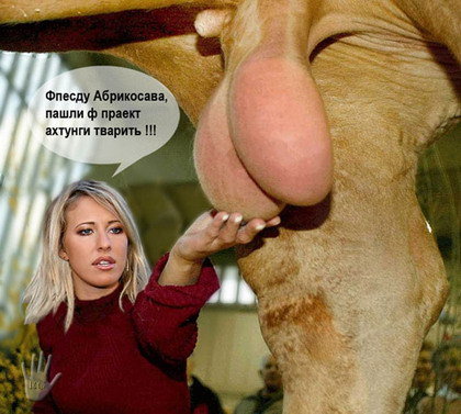 Название темы