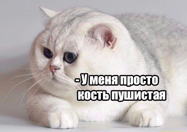 На зарядку позитивом становись!