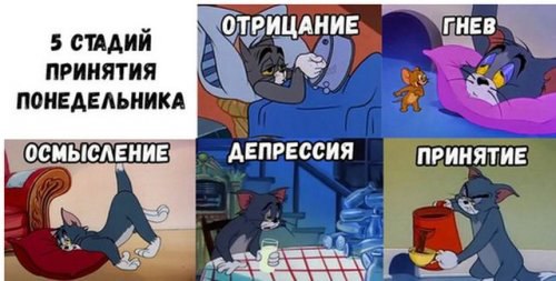 Немного веселых картинок для пятничного настроения