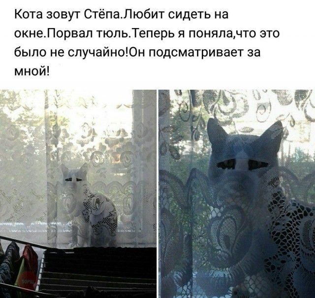 Немного милоты