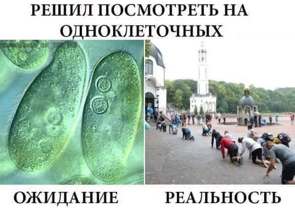 Мрачноватый юмор