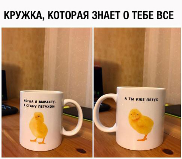 Здесь вам не рады
