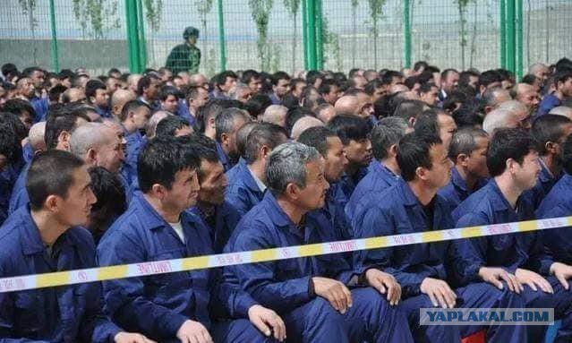 Свинина на завтрак, обед и ужин и гимн Китая: экс‐заключенный рассказал об ужасах в лагерях перевоспитания мусульман