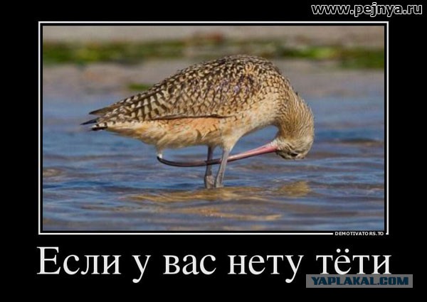 Что мужчина обязан знать о своей женщине и о себе