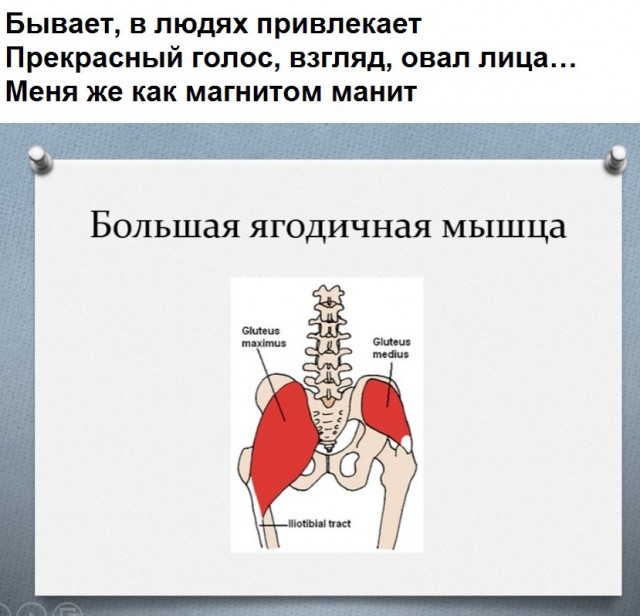 Борщ из картинок, людей, приколов, чуток боянов и всякого такого