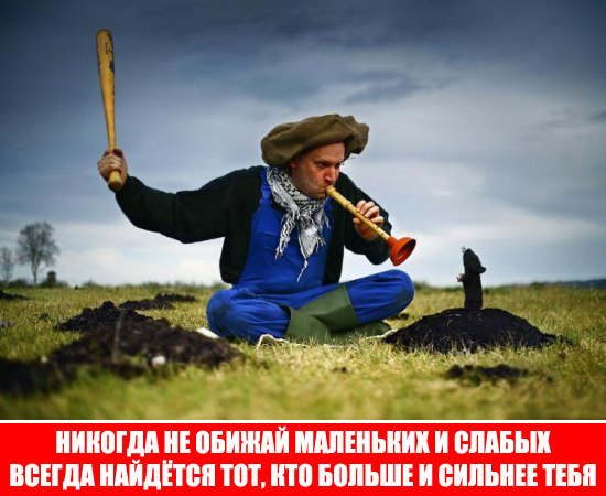 Охота на сусликов