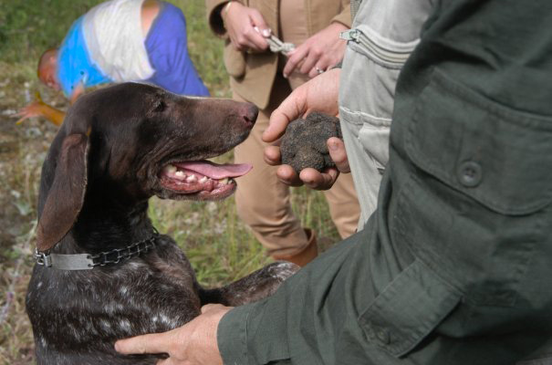 Фотожаба: ...как будто он не пьяный