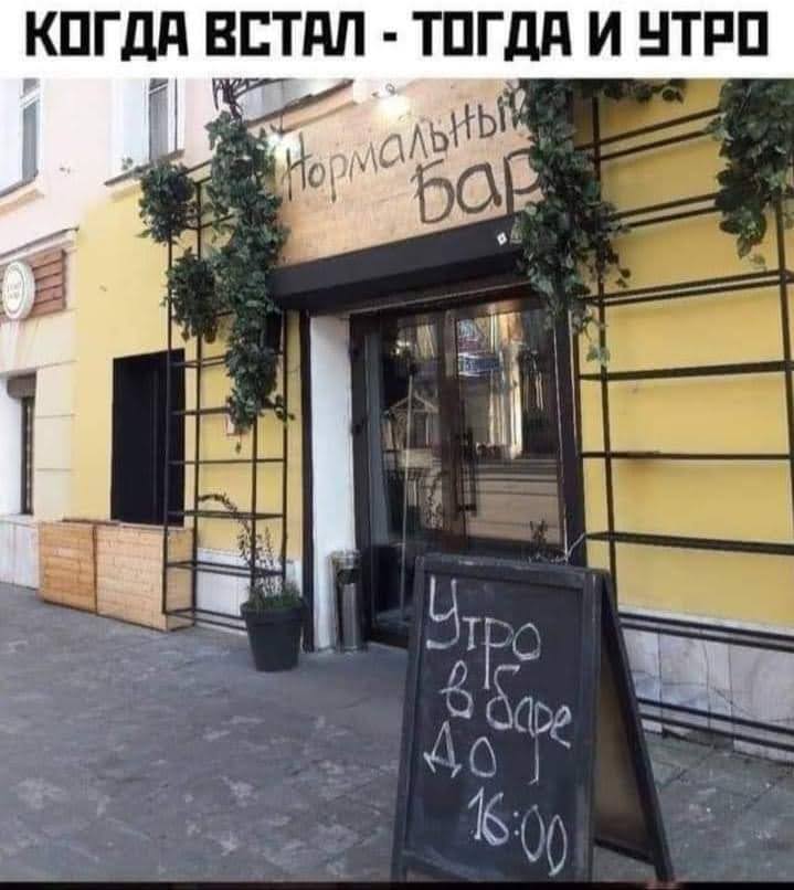 15742994.jpg
