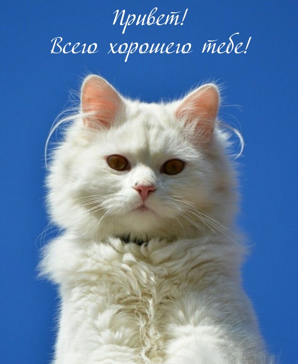Питание бывшего алкаша