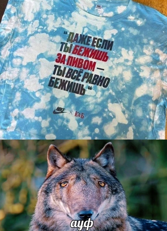 Картинки и мемы, всем хороших выходных