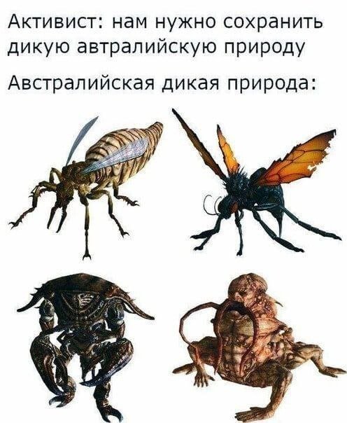 Так себе картинки 15.02.23