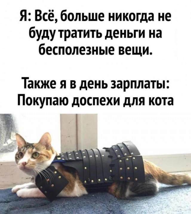 К котовторнику: подборка картинок-баянов с котиками и про котиков. Выпуск 12
