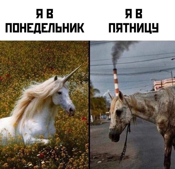Немного мемчиков. Для взрослых. Часть 38