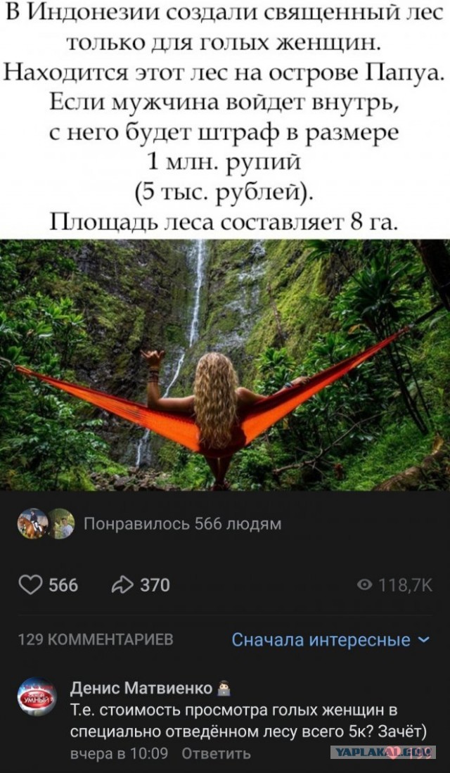 Веселые картинки в первый день зимы (01.12)
