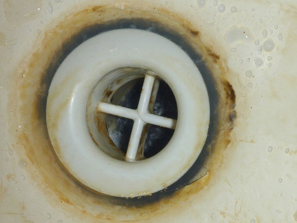 Куда движется Земля?