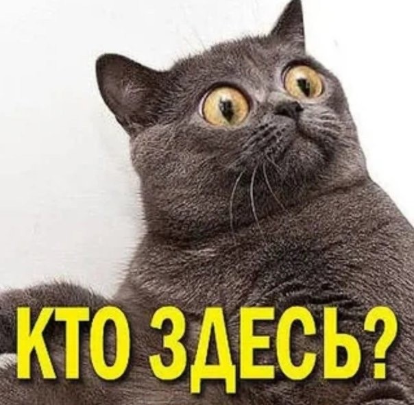 Картиночки на 18.02.2026