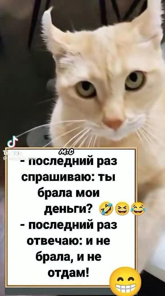 Веселые картинки в понедельник (который вторник) (10.03)