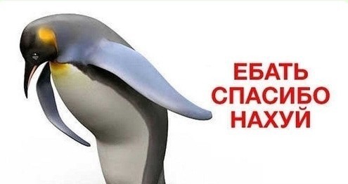 Банк России понизил ключевую ставку на 50 б.п., до 15%