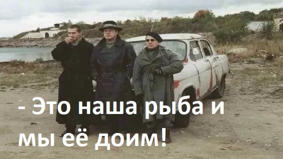 Никаких правил. Только сила. Только выживание.