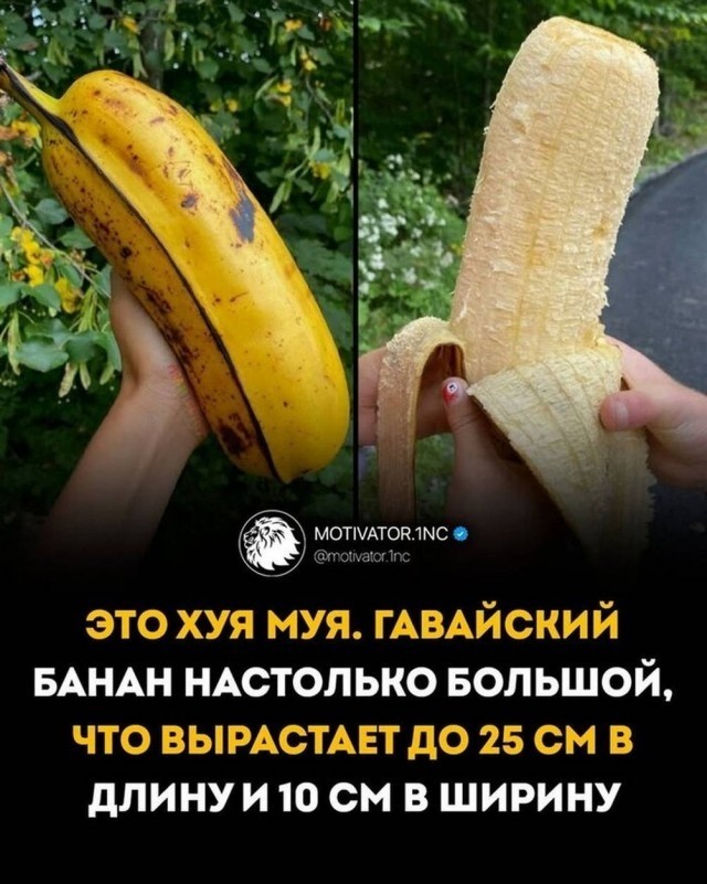 Картинки для деградации 228 (разной степени свежести)