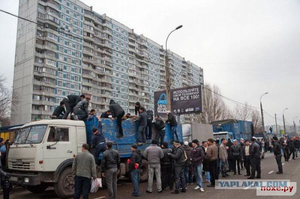 Последняя кровь