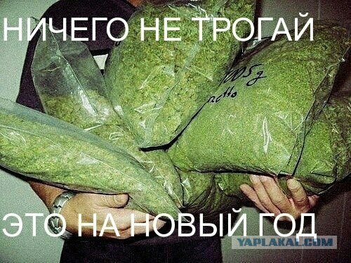 много марихуаны 