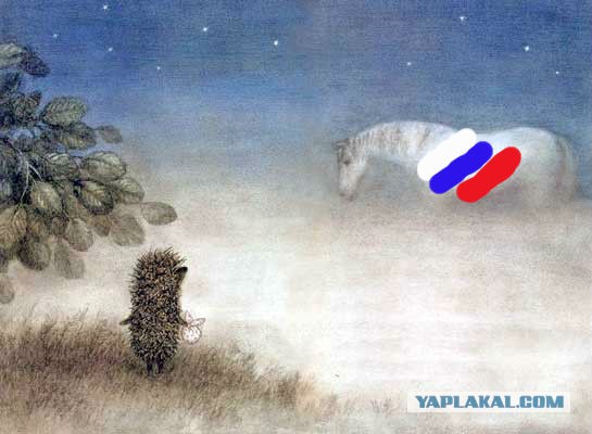 Йожик и майдан.