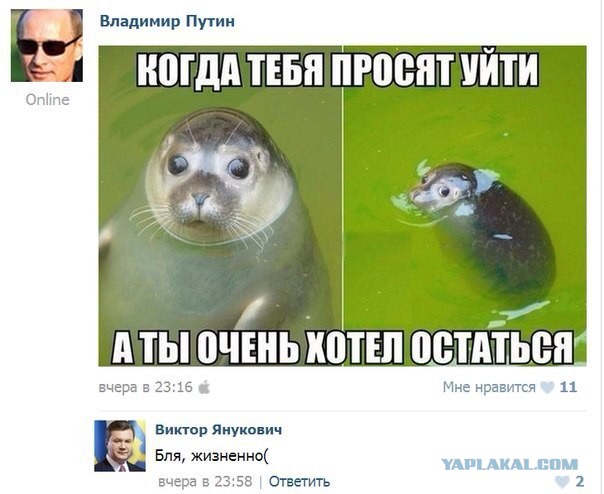 Смешные комментарии на 16.04.2014