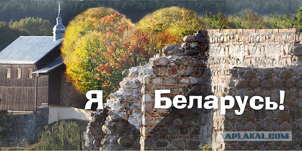 Батька решает)
