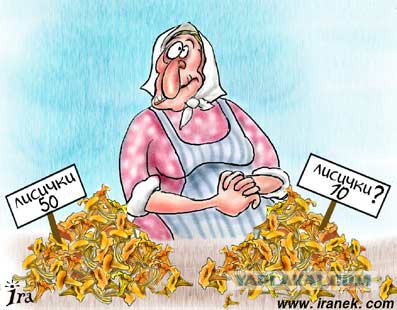 Вспомним лето! Вылазка за грибами.