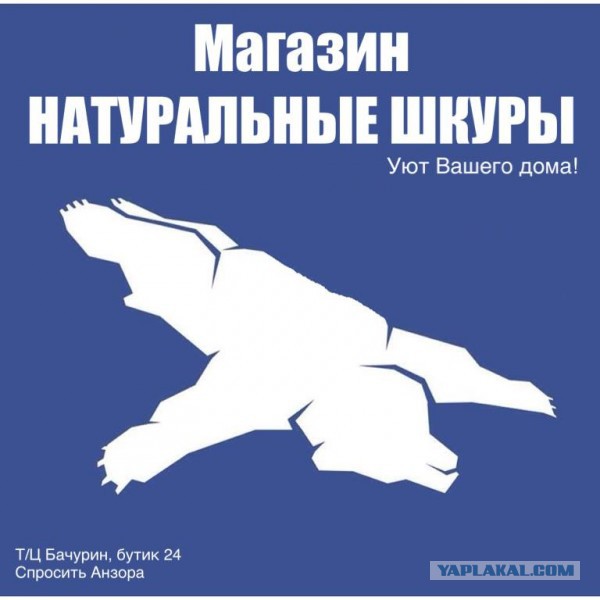 Воздушная берлога