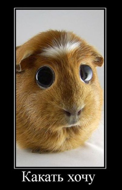 Трехлитровая банка шариков от старых мышек