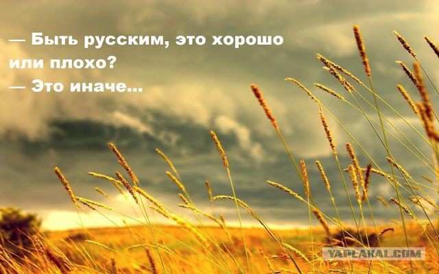 Почему не победить русских